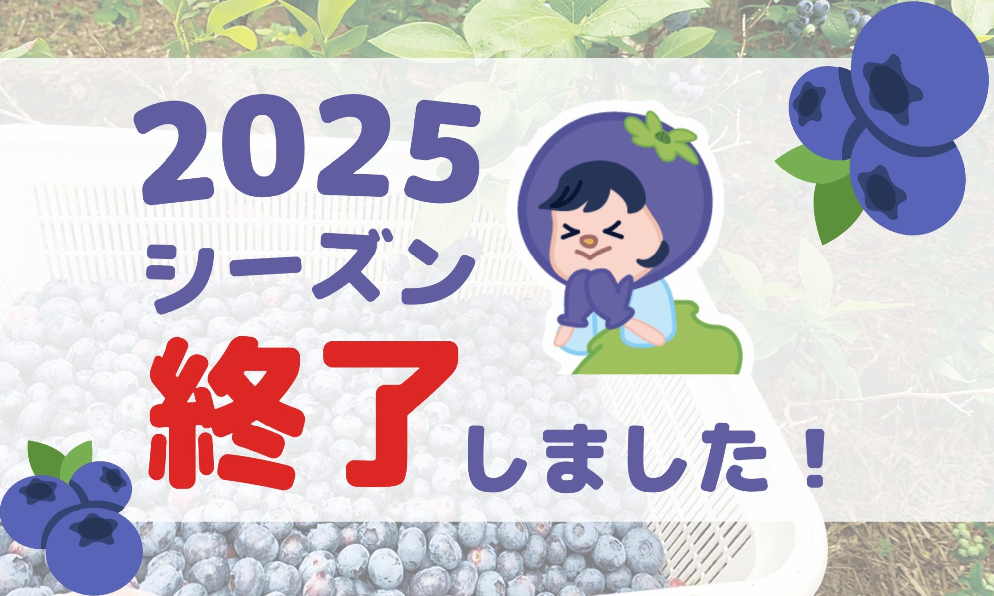 2025年シーズン終了しました