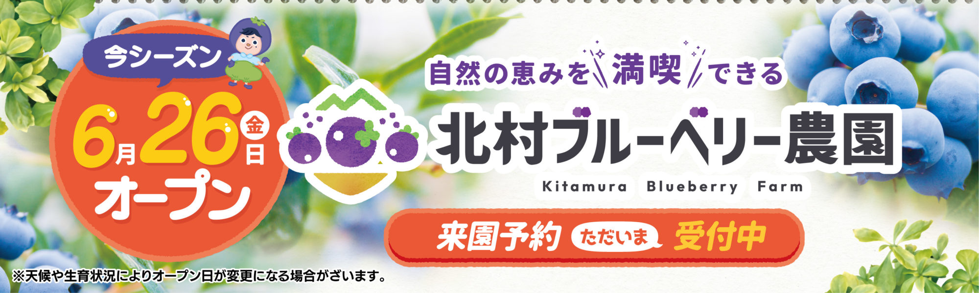 6月26日開園！！